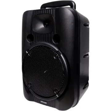 The Okayo C7230 portable PA system delivers powerful, crystal-clear sound, making it a perfect speaker system for ceremonies, weddings, camps, group activities, churches, and more.