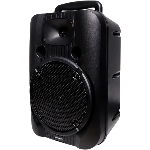 The Okayo C7231 portable PA extension speaker plugs into the C7230 and provides additional sound coverage for large gatherings. Delivers powerful, crystal-clear sound, making it a perfect speaker system for ceremonies, weddings, camps, group activities, churches, and more.