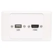 Flylead Wallplate fitted with HDMI and USB Type A. Supplied with two facia covers to suit your decor.