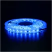 IP65 5050 Blue 12 Volt LED Strip Light 5m