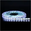 IP65 5050 Cool White 12 Volt LED Strip Light 5m