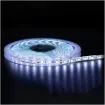 IP65 5050 Cool White 12V LED Silicon Strip Light 5m