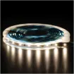 3528 Natural White 12 Volt LED Strip Light 5m