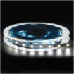 3528 Cool White 12 Volt LED Strip Light 5m