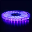 3528 12 Volt LED Strip Light 5m IP65 UV