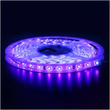3528 12 Volt LED Strip Light 5m IP65 UV