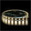 5050 Natural White 12 Volt LED Strip Light 5m