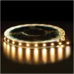 5050 Warm White 12 Volt LED Strip Light 5m
