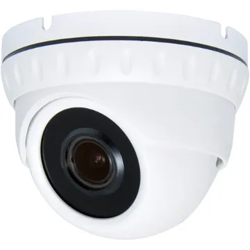 A day/night high resolution IP dome camera with multi-codec support.